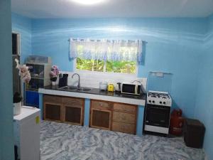 eine Küche mit einer Spüle, einem Herd und einem Fenster in der Unterkunft Anda Home at Cabagnow Cave Pool in Anda