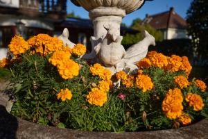 Zahrada ubytování Hotel Garni Demmel