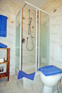 a bathroom with a shower and a toilet at Hotel Garni Demmel in Bruckmühl