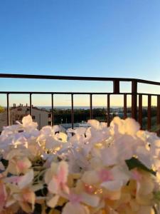 un mucchio di fiori bianchi seduti su un balcone di Tramonti In Santa Marinella a Santa Marinella
