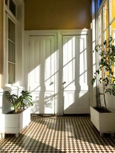 uma porta aberta com plantas num quarto com luz solar em La Galería B&B em Valparaíso