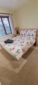 um quarto com uma cama com colcha floral em 2 bed cosy apartment in heart of Mullingar. em Mullingar