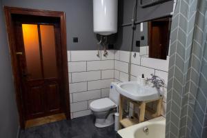 a bathroom with a toilet and a sink at Файна Чічка in Yaremche