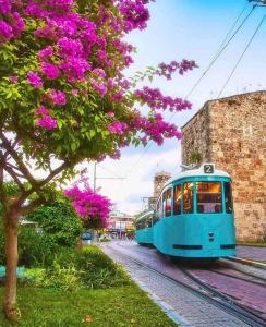 Ein blauer Zug fährt die Gleise entlang, in der Nähe eines Baumes mit rosa Blumen. in der Unterkunft Stadt mitte in Antalya