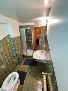 uma casa de banho com um WC e um lavatório em Pension Hintergarten em Oberzeiring