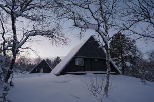 伊納利的住宿－Muotkan Ruoktu Tunturikyla，雪中树木繁茂的黑色房子