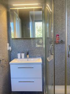 uma casa de banho com um lavatório e um chuveiro com um espelho. em Zentrale, neue Wohnung in Bamberg mit kostenlosen Parkplätzen vor Ort em Bamberg