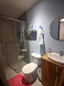 a bathroom with a toilet and a shower and a sink at Hotel Dreimar in Cartagena de Indias