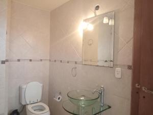 La salle de bains est pourvue d'un lavabo, de toilettes et d'un miroir. dans l'établissement Departamento premiun Mar de Paz, à Santa Teresita