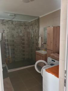 Ένα μπάνιο στο Vila Kajevic