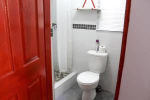 bagno bianco con servizi igienici e finestra di El DiVino Guesthouse a Newcastle Altre 20 foto
