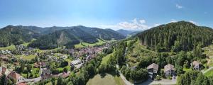 an aerial view of a village in the mountains at Pension Hintergarten in Oberzeiring