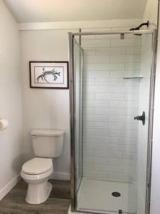 uma casa de banho com um WC e uma cabina de duche em vidro. em The Ranch in Mt Airy em Mount Airy