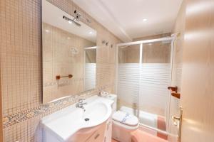 a bathroom with a sink and a toilet and a shower at Casa Maza Apartamentos in Biescas