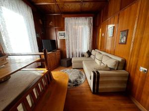 uma sala de estar com um sofá e uma televisão em My Dolomites Home em Livinallongo del Col di Lana