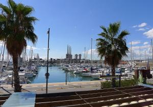 a marina with boats in the water and palm trees at Ap4Us B1 - Apartment for us - Sightseeing & Beach At The Best Price in Badalona