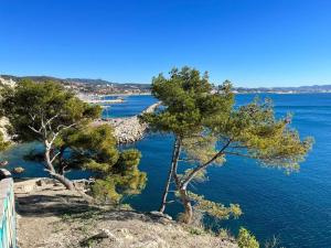 two trees on top of a hill overlooking the water at Maison du pêcheur in Marseille