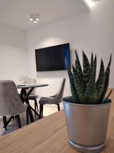 Televízia a/alebo spoločenská miestnosť v ubytovaní Apartament Źródlana Ski 300M