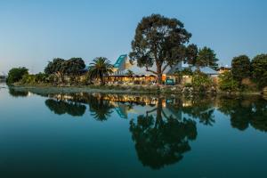 un reflejo de un árbol en un cuerpo de agua en Tides Hotel, en Nelson