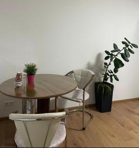 a wooden table with a chair and a table with plants at Souterrainwohnung Offenburg in Offenburg