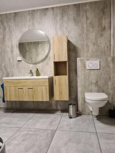 bagno con lavandino, servizi igienici e specchio di Tromsø stunning Luxury apart B a Tromsø