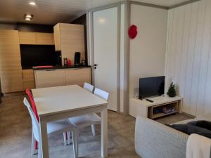 TV a/nebo společenská místnost v ubytování Chalet Etxetxoa, de 1 à 4 personnes avec Climatisation, SPA, Terrain privé et Piscine