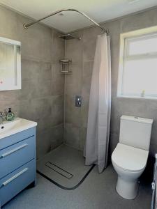 a bathroom with a shower with a toilet and a sink at Smithdown Rooms in Liverpool