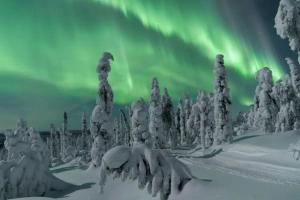 an aurora dances in the sky over a snow covered forest at Design apartment in city center with free parking in Rovaniemi