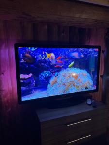 un televisor de pantalla plana sentado en un stand con un acuario en Villa with pool and sauna, en Porsgrunn