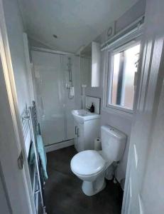 een witte badkamer met een toilet en een wastafel bij Gloednieuw luxe chalet met infraroodsauna in Hoenderloo