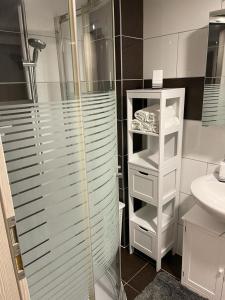 a bathroom with a glass shower and a sink at Apisha Appartement in Kirchheim unter Teck