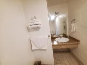 Bathroom sa Thunder Bird Motel