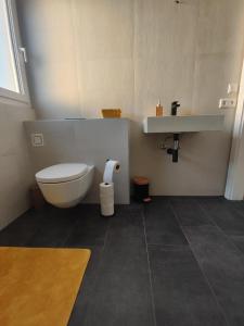 a bathroom with a toilet and a sink at Casa Tara in Döbriach