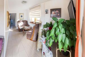Setusvæði á Guest House Ćiro