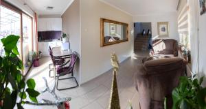 Sjónvarps- og/eða afþreyingartæki á Guest House Ćiro
