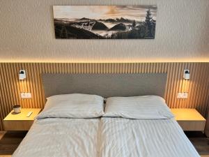 a bedroom with a bed with two tables and a painting at Hotel Tyrapol - Smrek Apartments in Oravská Lesná +36 photos