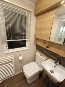 a bathroom with a toilet and a sink and a window at Hillingworth's Hot Tub Retreat - Lochmaben in Dumfries
