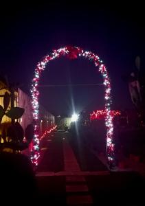 an arch lit up at night with christmas lights at Casa delle rose in Sannicola