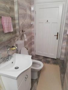 ein Badezimmer mit einem weißen Waschbecken und einem WC in der Unterkunft Apartment Milinkovic in Kovanluk