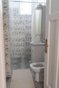a bathroom with a shower and a toilet and a sink at Apartment Milinkovic in Kovanluk
