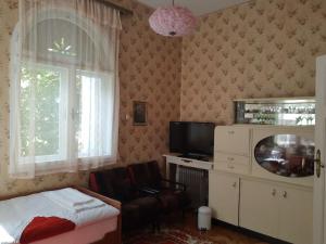 ein Wohnzimmer mit einem Bett, einem TV und einem Stuhl in der Unterkunft Apartment Milinkovic in Kovanluk