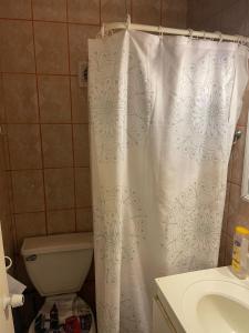 a bathroom with a shower curtain and a toilet at Habitación en Concon y área compartida in Concón