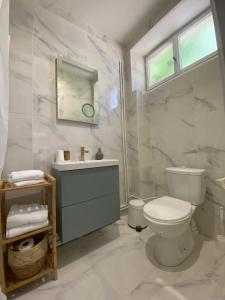 W łazience znajduje się toaleta, umywalka i lustro. w obiekcie Chambre Centre Ville Le Blanc w mieście Le Blanc