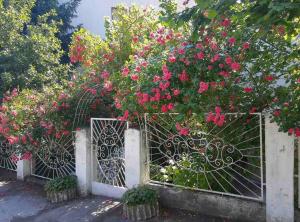 Una puerta con flores rosas encima. en Smeštaj Milinković, en Kovanluk