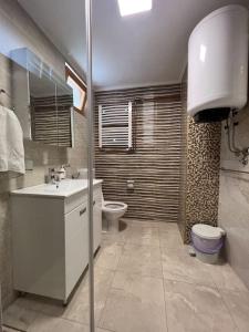 ein Bad mit einem Waschbecken und einem WC. in der Unterkunft Smeštaj Milinković in Kovanluk