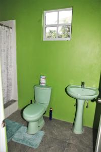 a green bathroom with a toilet and a sink at Paradise Apartment in Castries