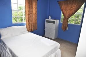 a blue room with a bed and two windows at Paradise Apartment in Castries