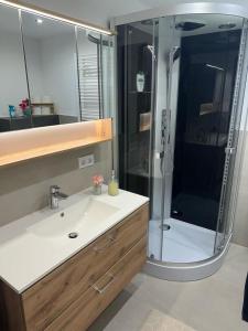 ein Bad mit einer Dusche, einem Waschbecken und einer Dusche in der Unterkunft Moderne ruhige Ferienwohnung in Ubstadt-Weiher