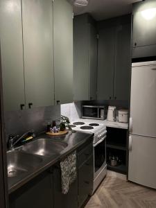 a kitchen with a sink and a stove top oven at modern studio @ city center in Rovaniemi
