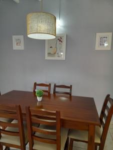 een eettafel met stoelen en een potplant erop bij En Familia in Puerto Iguazú